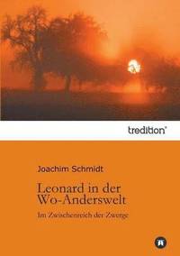 bokomslag Leonard in der Wo-Anderswelt