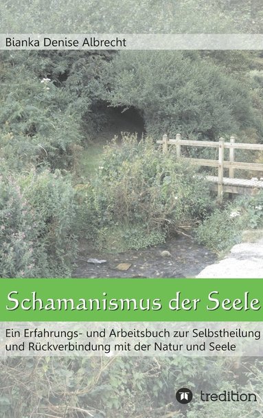 bokomslag Schamanismus der Seele