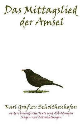 bokomslag Mittagslied Der Amsel