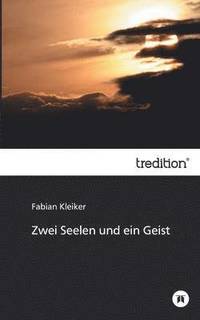 bokomslag Zwei Seelen und ein Geist