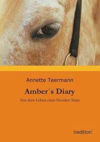 bokomslag Ambers Diary