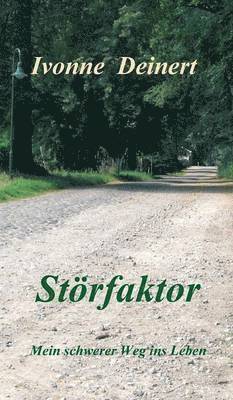 bokomslag Storfaktor