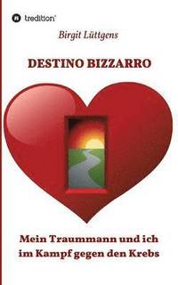 bokomslag Destino Bizzarro