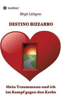 bokomslag Destino Bizzarro