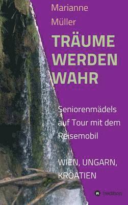 Marianne Muller, Marianne Müller - Traume Werden Wahr, Inbunden