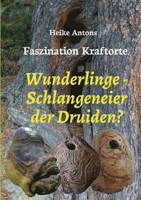 bokomslag Wunderlinge - Schlangeneier der Druiden?