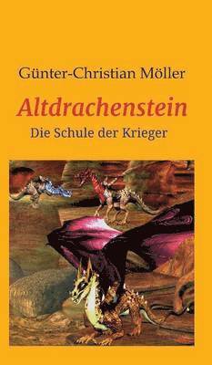 Altdrachenstein 1