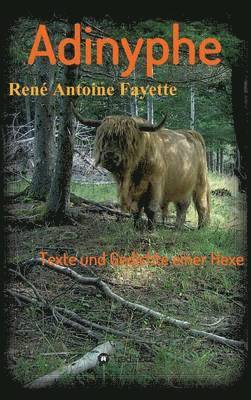Adinyphe