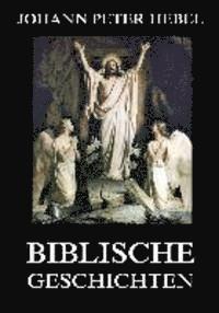 bokomslag Biblische Geschichten