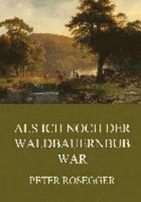 bokomslag Als ich noch der Waldbauernbub war