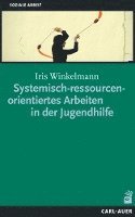 bokomslag Systemisch-ressourcenorientiertes Arbeiten in der Jugendhilfe