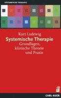 bokomslag Systemische Therapie