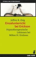 bokomslag Einzelunterricht bei Erickson