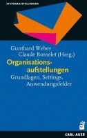 Organisationsaufstellungen 1