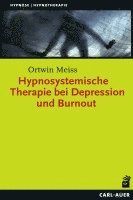 Ortwin Meiss - Hypnosystemische Therapie bei Depression und Burnout, Häftad