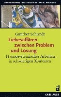 bokomslag Liebesaffären zwischen Problem und Lösung