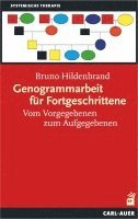 bokomslag Genogrammarbeit für Fortgeschrittene