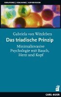 Gabriela von Witzleben - Das triadische Prinzip, Häftad