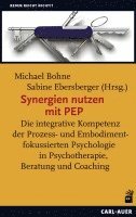 Michael Bohne, Sabine Ebersberger - Synergien nutzen mit PEP, Häftad