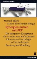 Michael Bohne, Sabine Ebersberger - Synergien nutzen mit PEP, Häftad