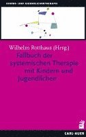 bokomslag Fallbuch der Systemischen Therapie mit Kindern und Jugendlichen
