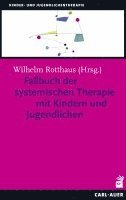 bokomslag Fallbuch der Systemischen Therapie mit Kindern und Jugendlichen