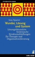 bokomslag Wunder, Lösung und System