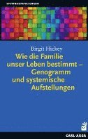 bokomslag Wie die Familie unser Leben bestimmt - Genogramm und systemische Aufstellungen