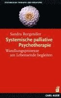 bokomslag Systemische palliative Psychotherapie