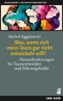 Michel Eggebrecht - Was, wenn sich mein Team gar nicht entwickeln will?, Häftad