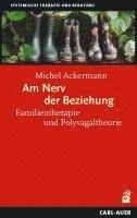 Michel Ackermann - Am Nerv der Beziehung, Häftad