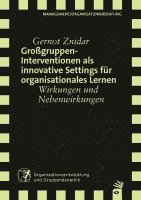 bokomslag Großgruppeninterventionen als innovative Settings für organisationales Lernen