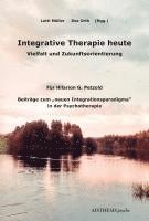 bokomslag Integrative Therapie heute
