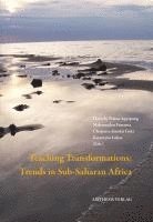 bokomslag Teaching Transformations