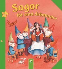 bokomslag Sagor för små drömmare