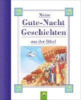 bokomslag Meine Gutenachtgeschichten aus der Bibel für Kinder ab 3 Jahren