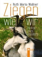 Ziegen wie wir 1