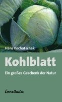 bokomslag Das Kohlblatt