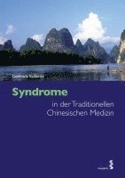 bokomslag Syndrome in der Traditionellen Chinesischen Medizin