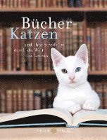 Bücher-Katzen 1