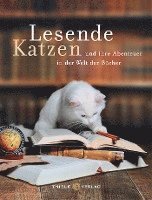 bokomslag Lesende Katzen