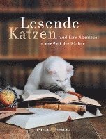 Lesende Katzen 1