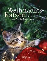 bokomslag Weihnachtskatzen Geschenkbuch