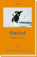 Dackel 1