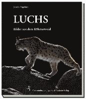 Luchse 1