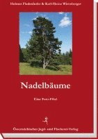 Nadelbäume 1