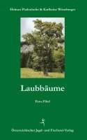 bokomslag Laubbäume