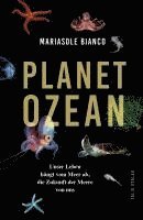 bokomslag Planet Ozean
