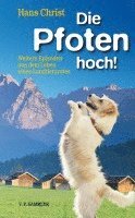 Die Pfoten hoch! 1