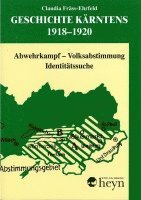 bokomslag Geschichte Kärntens 1918-1920